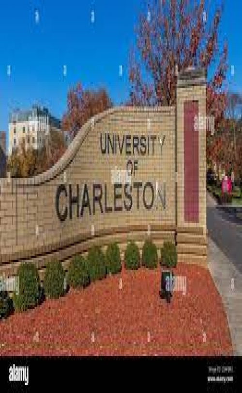 MSM Group - University of Charleston